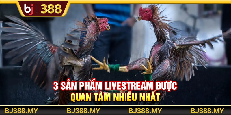 Tận Hưởng Livestream Đá Gà Cực Mãn Nhãn Tại Nền Tảng BJ388 4 https://m-bj388.com 3 sản phẩm livestream được quan tâm nhiều nhất