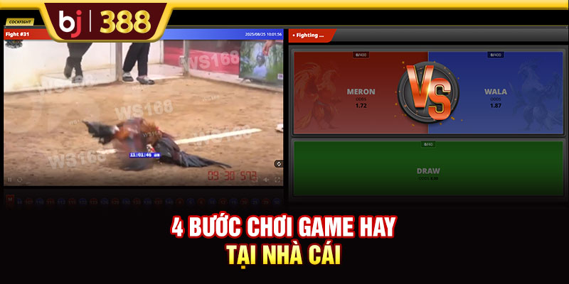 SABONG67 Livestream Đá Gà Full HD Và Cược Không Giới Hạn 4 https://m-bj388.com 4 bước chơi game hay tại nhà cái