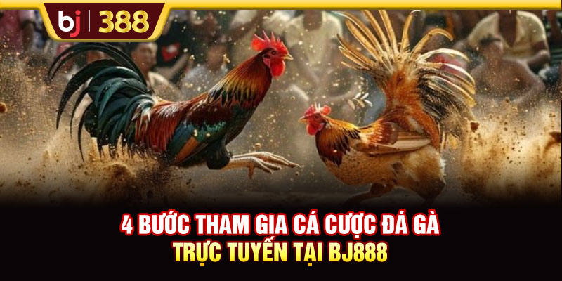 BJ888 Đặc Sắc Với Hàng Trăm Kèo Cược Đá Gà Mỗi Ngày 4 https://m-bj388.com 4 bước tham gia cá cược đá gà trực tuyến tại BJ888