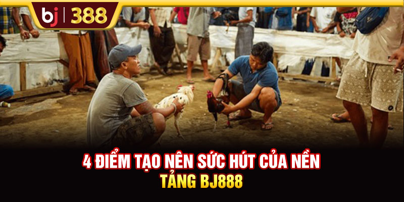 BJ888 Đặc Sắc Với Hàng Trăm Kèo Cược Đá Gà Mỗi Ngày 3 https://m-bj388.com 4 điểm tạo nên sức hút của nền tảng BJ888