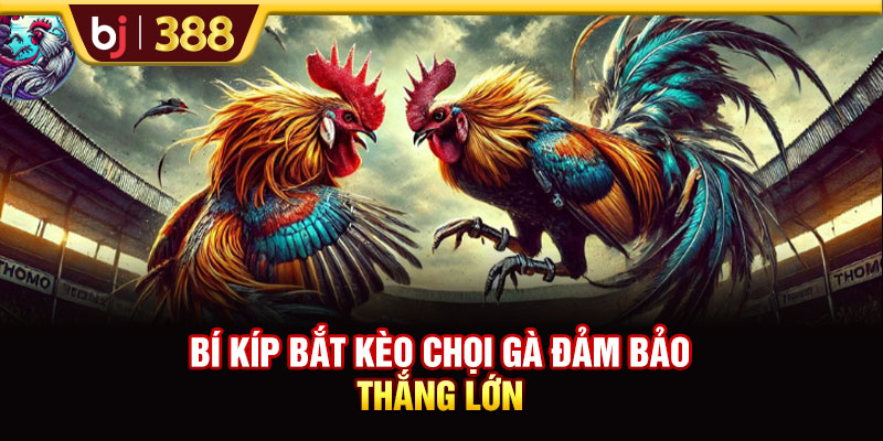 GA6789 Trực Tiếp Đá Gà Thomo Full HD Đẳng Cấp Quốc Tế 4 https://m-bj388.com Bí kíp bắt kèo chọi gà đảm bảo thắng lớn
