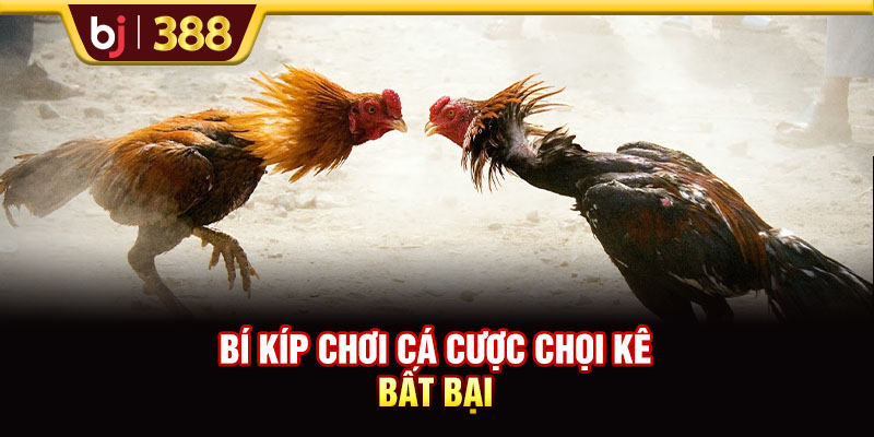 Trải Nghiệm Sân Chơi BJ38 Kiếm Về Phần Thưởng Cực Khủng 4 https://m-bj388.com Bí kíp chơi cá cược chọi kê bất bại