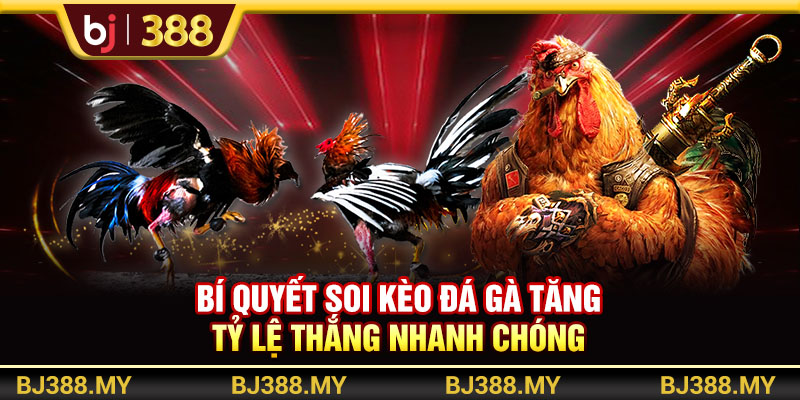 Bí Quyết Soi Kèo Đá Gà BJ388 Tăng Tỷ Lệ Thắng Nhanh Chóng 1 https://m-bj388.com Bí Quyết Soi Kèo Đá Gà BJ388 Tăng Tỷ Lệ Thắng Nhanh Chóng