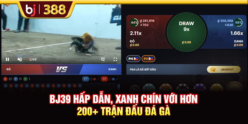BJ39 Hấp Dẫn, Xanh Chín Với Hơn 200+ Trận Đấu Đá Gà 1 https://m-bj388.com BJ39 Hấp Dẫn, Xanh Chín Với Hơn 200+ Trận Đấu Đá Gà