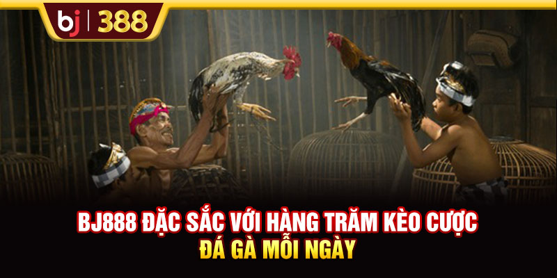 BJ888 Đặc Sắc Với Hàng Trăm Kèo Cược Đá Gà Mỗi Ngày 1 https://m-bj388.com BJ888 Đặc Sắc Với Hàng Trăm Kèo Cược Đá Gà Mỗi Ngày