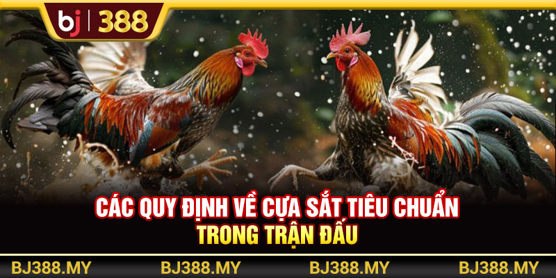 Đá Gà Cựa Sắt Gay Cấn Với Tỷ Lệ Cược Cao Tại Nhà Cái BJ388 3 https://m-bj388.com Các quy định về cựa sắt tiêu chuẩn trong trận đấu