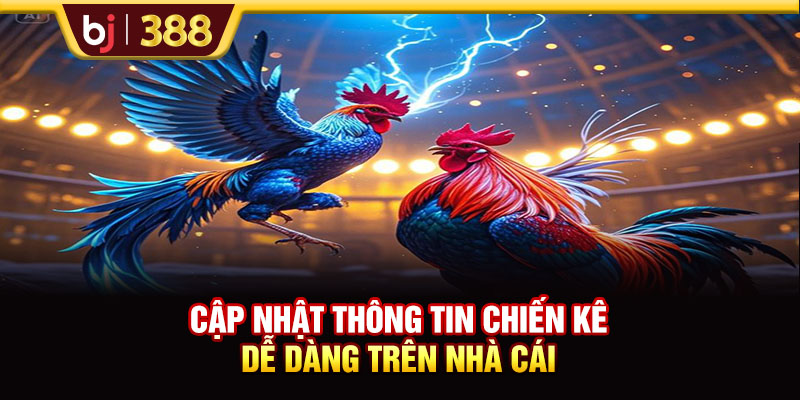 BOGA66 Trải Nghiệm 500+ Màn Tranh Tài Siêu Kịch Tính 3 https://m-bj388.com Cập nhật thông tin chiến kê dễ dàng trên nhà cái