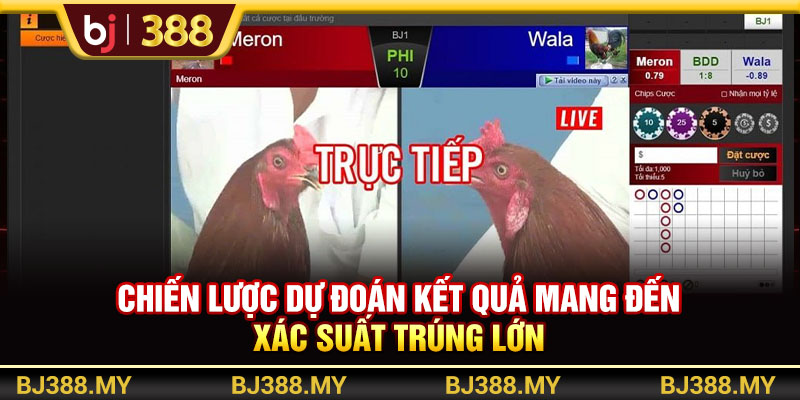 Khám Phá Đá Gà Campuchia BJ388 Với Trải Nghiệm Gay Cấn 4 https://m-bj388.com Chiến lược dự đoán kết quả mang đến xác suất trúng lớn