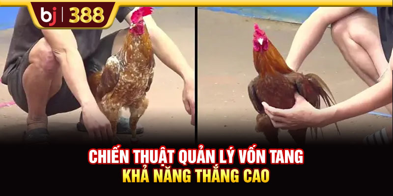 BOGA66 Trải Nghiệm 500+ Màn Tranh Tài Siêu Kịch Tính 4 https://m-bj388.com Chiến thuật quản lý vốn tăng khả năng thắng cao