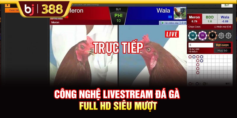 Đá Gà SV368 Livestream Full HD Hơn 500 Trận Đấu Mỗi Tuần 3 https://m-bj388.com Công nghệ livestream đá gà Full HD siêu mượt