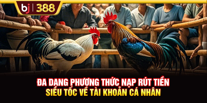 SABONG67 Livestream Đá Gà Full HD Và Cược Không Giới Hạn 3 https://m-bj388.com Đa dạng phương thức nạp rút tiền siêu tốc về tài khoản cá nhân