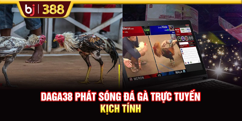 Trải Nghiệm Đá Gà DAGA38 Với Tỷ Lệ Cược Lên Đến 1:90 2 https://m-bj388.com DAGA38 phát sóng đá gà trực tuyến kịch tính