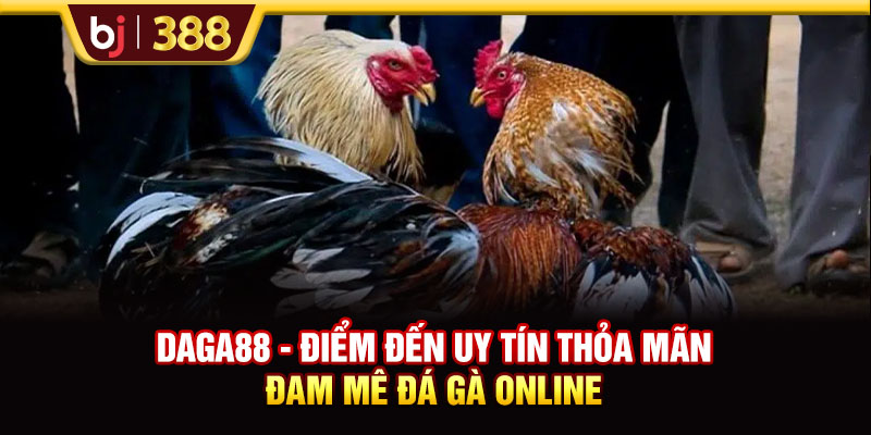 DAGA88 - Điểm Đến Uy Tín Thỏa Mãn Đam Mê Đá Gà Online 1 https://m-bj388.com DAGA88 - Điểm Đến Uy Tín Thỏa Mãn Đam Mê Đá Gà Online