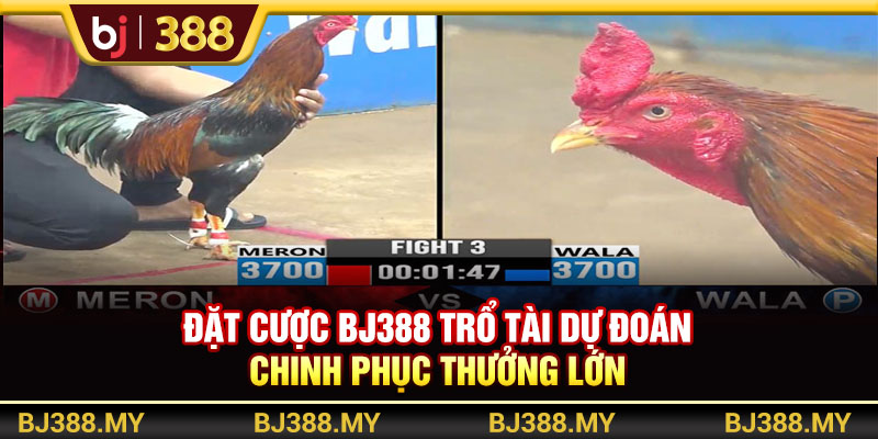Đặt Cược BJ388 Trổ Tài Dự Đoán Chinh Phục Thưởng Lớn 1 https://m-bj388.com Đặt Cược BJ388 Trổ Tài Dự Đoán Chinh Phục Thưởng Lớn