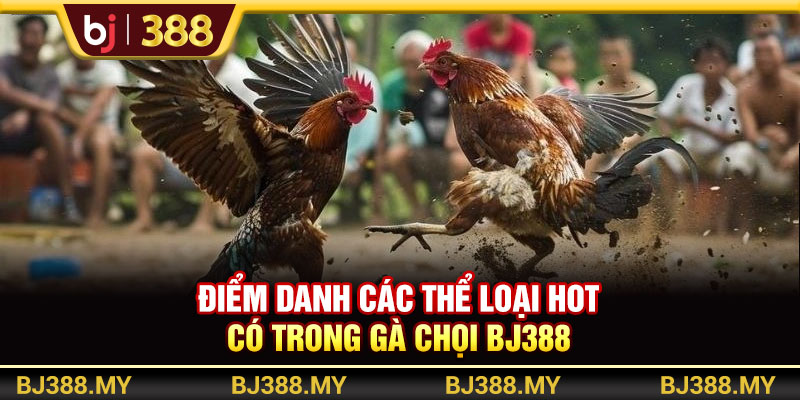 Gà Chọi BJ388 Xanh Chín Với Trận Đấu Hấp Dẫn, Thưởng Cao 3 https://m-bj388.com Điểm danh các thể loại hot có trong gà chọi BJ388