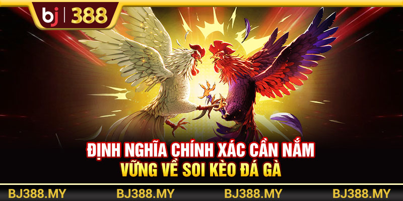 Bí Quyết Soi Kèo Đá Gà BJ388 Tăng Tỷ Lệ Thắng Nhanh Chóng 2 https://m-bj388.com Định nghĩa chính xác cần nắm vững về soi kèo đá gà