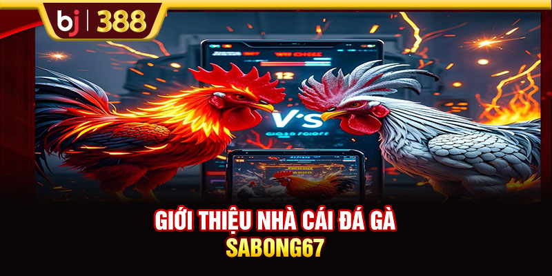 SABONG67 Livestream Đá Gà Full HD Và Cược Không Giới Hạn 2 https://m-bj388.com Giới thiệu nhà cái đá gà SABONG67