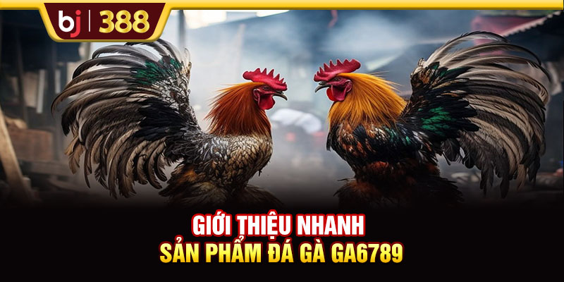 GA6789 Trực Tiếp Đá Gà Thomo Full HD Đẳng Cấp Quốc Tế 2 https://m-bj388.com Giới thiệu nhanh sản phẩm đá gà GA6789