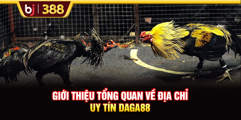 DAGA88 - Điểm Đến Uy Tín Thỏa Mãn Đam Mê Đá Gà Online 2 https://m-bj388.com Giới thiệu tổng quan về địa chỉ uy tín DAGA88