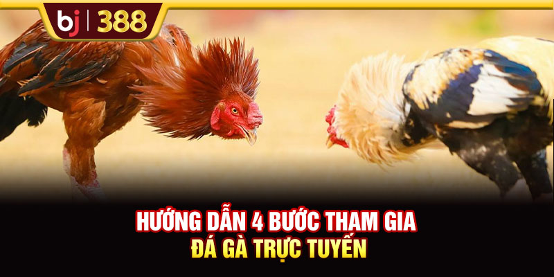 Trải Nghiệm Đá Gà DAGA38 Với Tỷ Lệ Cược Lên Đến 1:90 4 https://m-bj388.com Hướng dẫn 4 bước tham gia đá gà trực tuyến