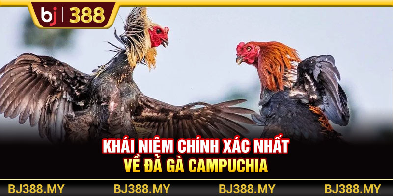 Khám Phá Đá Gà Campuchia BJ388 Với Trải Nghiệm Gay Cấn 2 https://m-bj388.com Khái niệm chính xác nhất về đá gà Campuchia