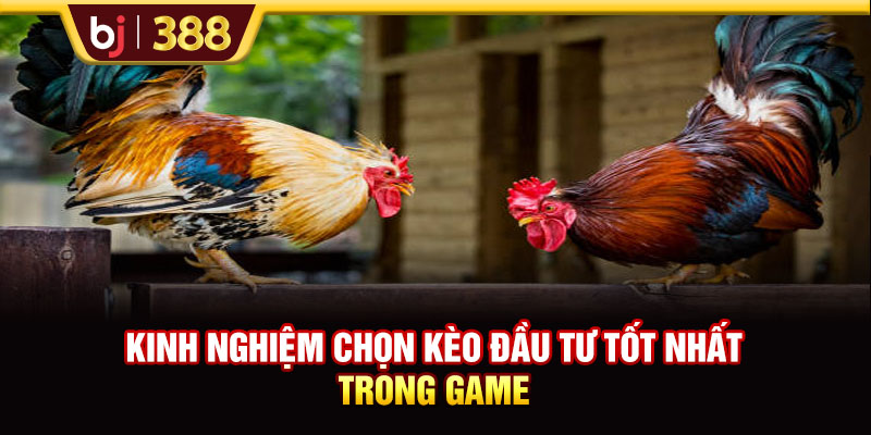 Trực Tiếp Đá Gà C3 Hôm Nay Tốc Độ Cao, Hình Ảnh Full HD 4 https://m-bj388.com Kinh nghiệm chọn kèo đầu tư tốt nhất trong game