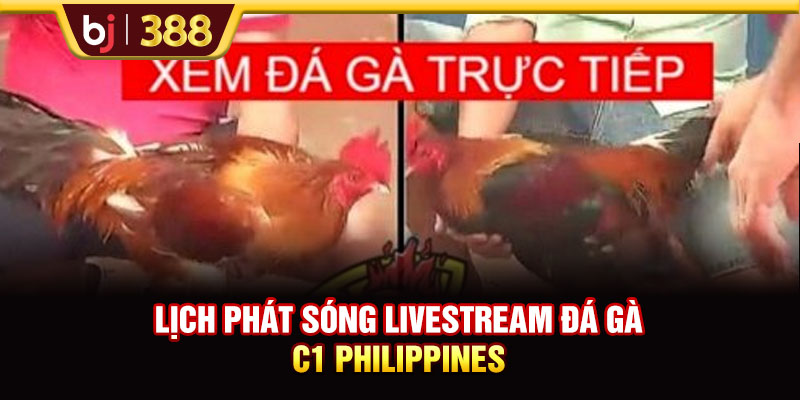 Trực Tiếp Đá Gà C1 Lịch Tranh Tài Và Kèo Chuẩn Tại BJ388 4 https://m-bj388.com Lịch phát sóng Livestream đá gà C1 Philippines