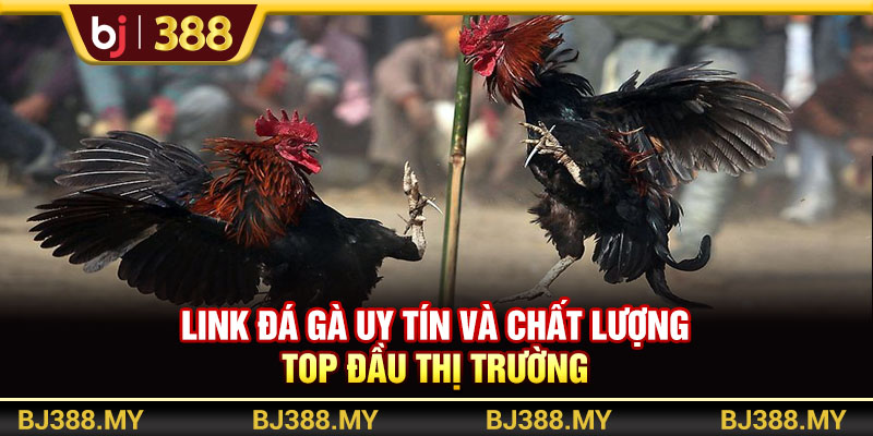 Link Đá Gà BJ388 Uy Tín Và Chất Lượng Top Đầu Thị Trường 1 https://m-bj388.com Link Đá Gà BJ388 Uy Tín Và Chất Lượng Top Đầu Thị Trường