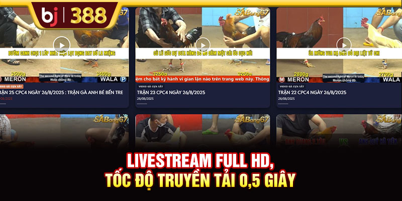 Trải Nghiệm Đá Gà DAGA38 Với Tỷ Lệ Cược Lên Đến 1:90 3 https://m-bj388.com Livestream Full HD, tốc độ truyền tải 0,5 giây
