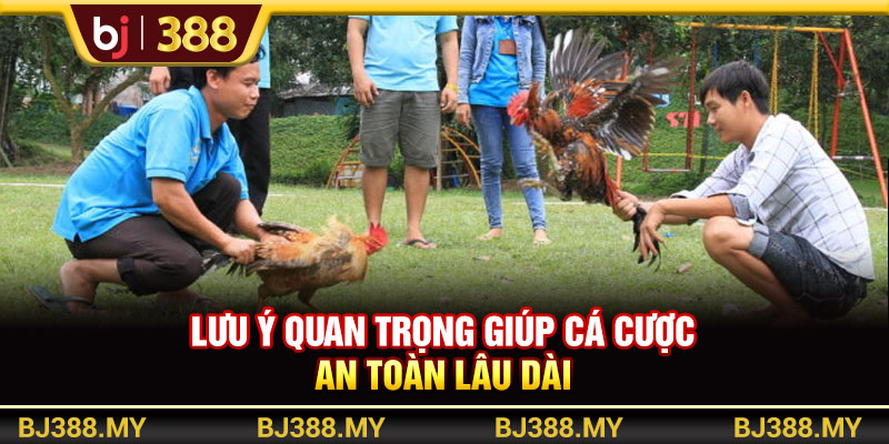 Đặt Cược BJ388 Trổ Tài Dự Đoán Chinh Phục Thưởng Lớn 4 https://m-bj388.com Lưu ý quan trọng giúp cá cược an toàn lâu dài
