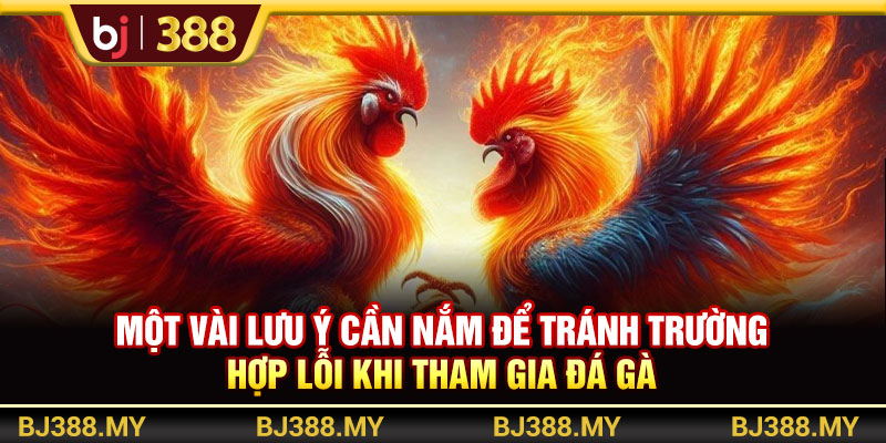 Kinh Nghiệm Đá Gà Chia Sẻ Chiến Thuật Hiệu Quả Từ BJ388 4 https://m-bj388.com Một vài lưu ý cần nắm để tránh trường hợp lỗi khi tham gia đá gà