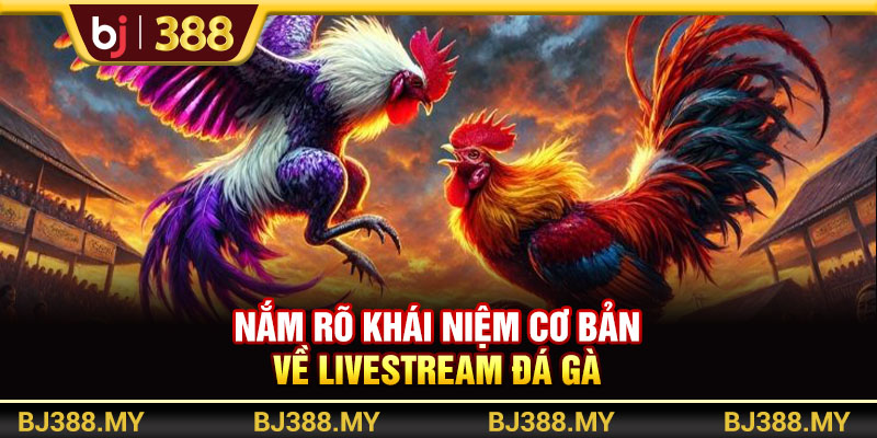 Tận Hưởng Livestream Đá Gà Cực Mãn Nhãn Tại Nền Tảng BJ388 2 https://m-bj388.com Nắm rõ khái niệm cơ bản về livestream đá gà
