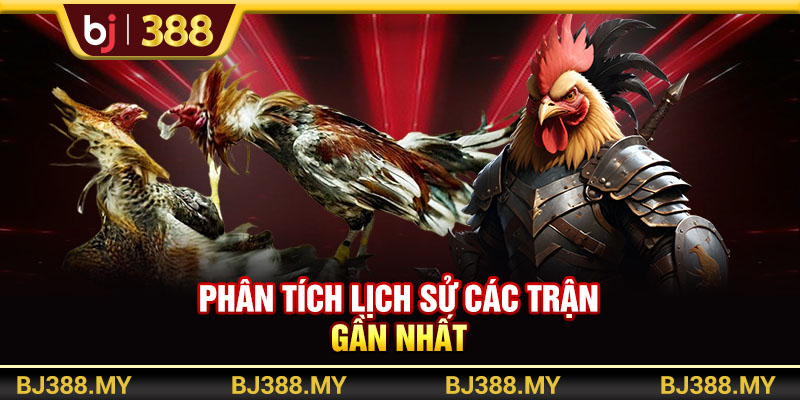Mẹo Cá Cược Và Chọn Kèo Đá Gà Cực Chất Từ Nhà Cái BJ388 4 https://m-bj388.com Phân tích lịch sử các trận gần nhất
