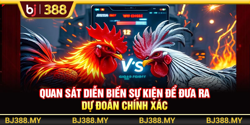 Trải Nghiệm Đá Gà Online BJ388 Đỉnh Cao Và Đầy Tiện Lợi 4 https://m-bj388.com Quan sát diễn biến sự kiện để đưa ra dự đoán chính xác