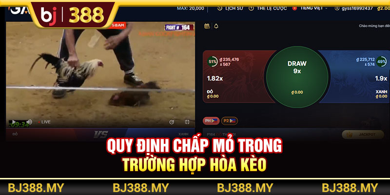 Đá Gà Thomo BJ388 Là Gì? 3 Hình Thức Thi Đấu Hấp Dẫn Nhất 3 https://m-bj388.com Quy định chấp mỏ trong trường hợp hòa kèo