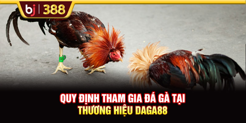 DAGA88 - Điểm Đến Uy Tín Thỏa Mãn Đam Mê Đá Gà Online 4 https://m-bj388.com Quy định tham gia đá gà tại thương hiệu DAGA88