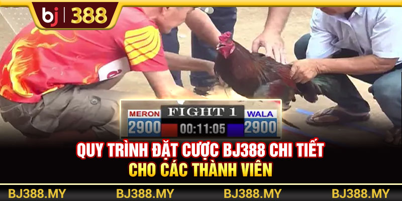 Đặt Cược BJ388 Trổ Tài Dự Đoán Chinh Phục Thưởng Lớn 2 https://m-bj388.com Quy trình đặt cược BJ388 chi tiết cho các thành viên