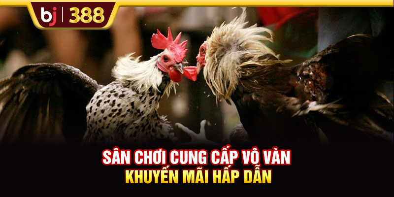 Trải Nghiệm Sân Chơi BJ38 Kiếm Về Phần Thưởng Cực Khủng 3 https://m-bj388.com Sân chơi cung cấp vô vàn khuyến mãi hấp dẫn