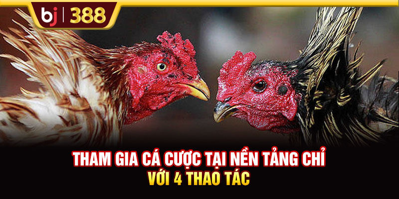Nhà Cái Ga79 - Sân Chơi Đấu Kê Uy Tín Nhất Trên Thị Trường 3 https://m-bj388.com Tham gia cá cược tại nền tảng chỉ với 4 thao tác