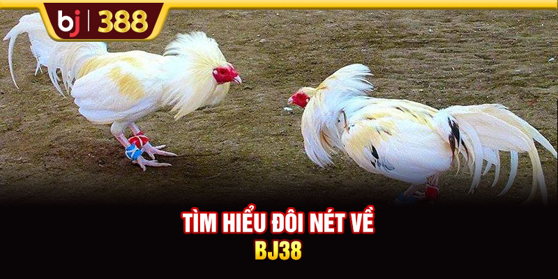 Trải Nghiệm Sân Chơi BJ38 Kiếm Về Phần Thưởng Cực Khủng 2 https://m-bj388.com Tìm hiểu đôi nét về BJ38