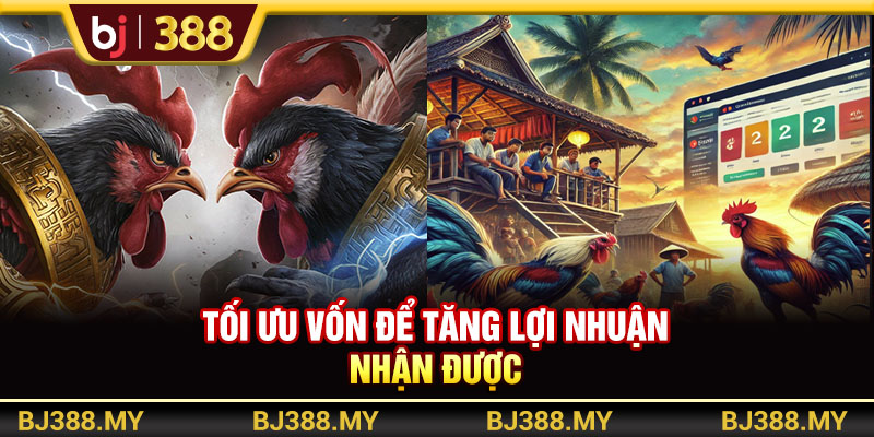 Mẹo Cá Cược Và Chọn Kèo Đá Gà Cực Chất Từ Nhà Cái BJ388 3 https://m-bj388.com Tối ưu vốn để tăng lợi nhuận nhận được