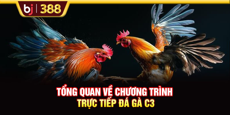 Trực Tiếp Đá Gà C3 Hôm Nay Tốc Độ Cao, Hình Ảnh Full HD 2 https://m-bj388.com Tổng quan về chương trình trực tiếp đá gà C3