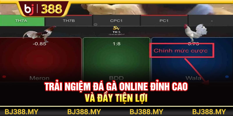 Trải Nghiệm Đá Gà Online BJ388 Đỉnh Cao Và Đầy Tiện Lợi 1 https://m-bj388.com Trải Nghiệm Đá Gà Online BJ388 Đỉnh Cao Và Đầy Tiện Lợi