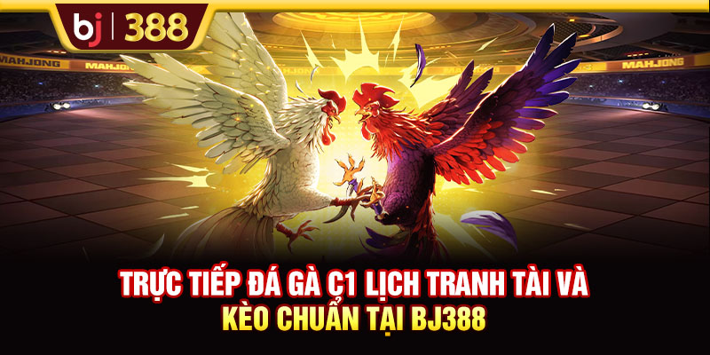 Trực Tiếp Đá Gà C1 Lịch Tranh Tài Và Kèo Chuẩn Tại BJ388 1 https://m-bj388.com Trực Tiếp Đá Gà C1 Lịch Tranh Tài Và Kèo Chuẩn Tại BJ388