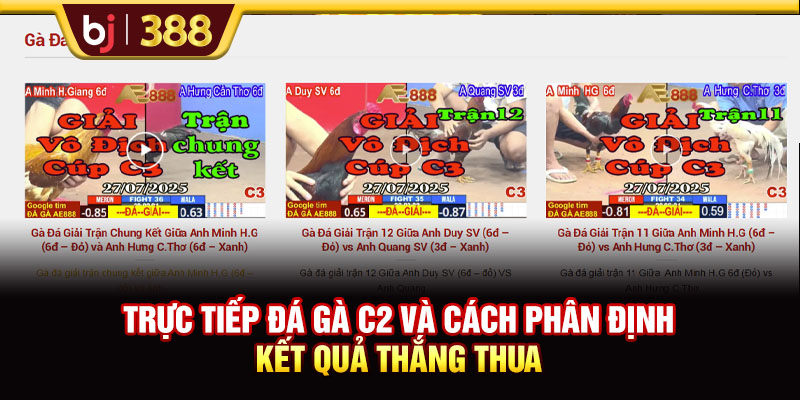 Trực Tiếp Đá Gà C2 Với Các Trận Đấu Thu Hút Và Kịch Tính 3 https://m-bj388.com Trực tiếp đá gà C2 và cách phân định kết quả thắng thua