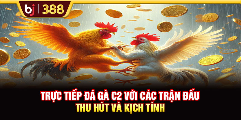 Trực Tiếp Đá Gà C2 Với Các Trận Đấu Thu Hút Và Kịch Tính 1 https://m-bj388.com Trực Tiếp Đá Gà C2 Với Các Trận Đấu Thu Hút Và Kịch Tính