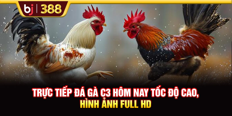 Trực Tiếp Đá Gà C3 Hôm Nay Tốc Độ Cao, Hình Ảnh Full HD 1 https://m-bj388.com Trực Tiếp Đá Gà C3 Hôm Nay Tốc Độ Cao, Hình Ảnh Full HD