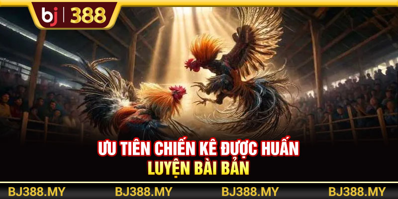 Bí Quyết Soi Kèo Đá Gà BJ388 Tăng Tỷ Lệ Thắng Nhanh Chóng 4 https://m-bj388.com Ưu tiên cược vào các chiến kê có sức mạnh tốt