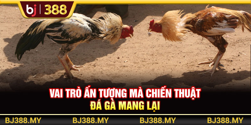 Các Chiến Thuật Đá Gà Hay Và Hiệu Quả Từ Chuyên Gia BJ388 2 https://m-bj388.com Vai trò ấn tượng mà chiến thuật đá gà mang lại
