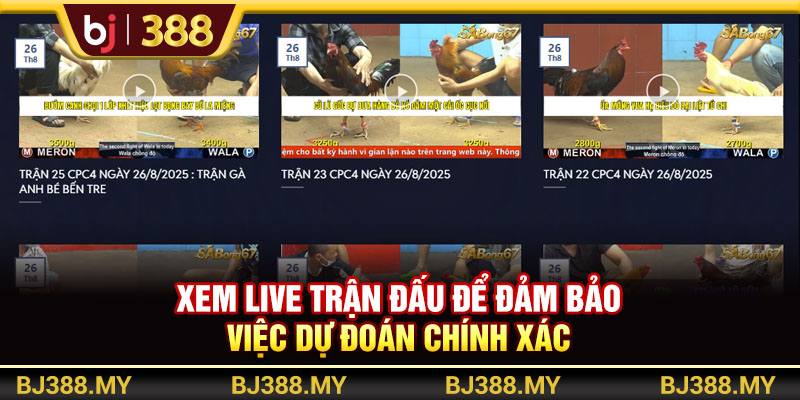 Bí Quyết Soi Kèo Đá Gà BJ388 Tăng Tỷ Lệ Thắng Nhanh Chóng 3 https://m-bj388.com Xem live trận đấu để đảm bảo việc dự đoán chính xác